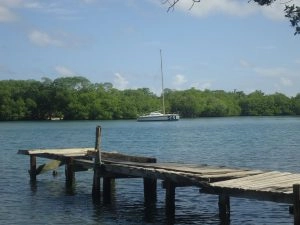 Vue de la mangrove et d'un bateau à voile dans les îlets du Robert en Martinique, depuis le ponton