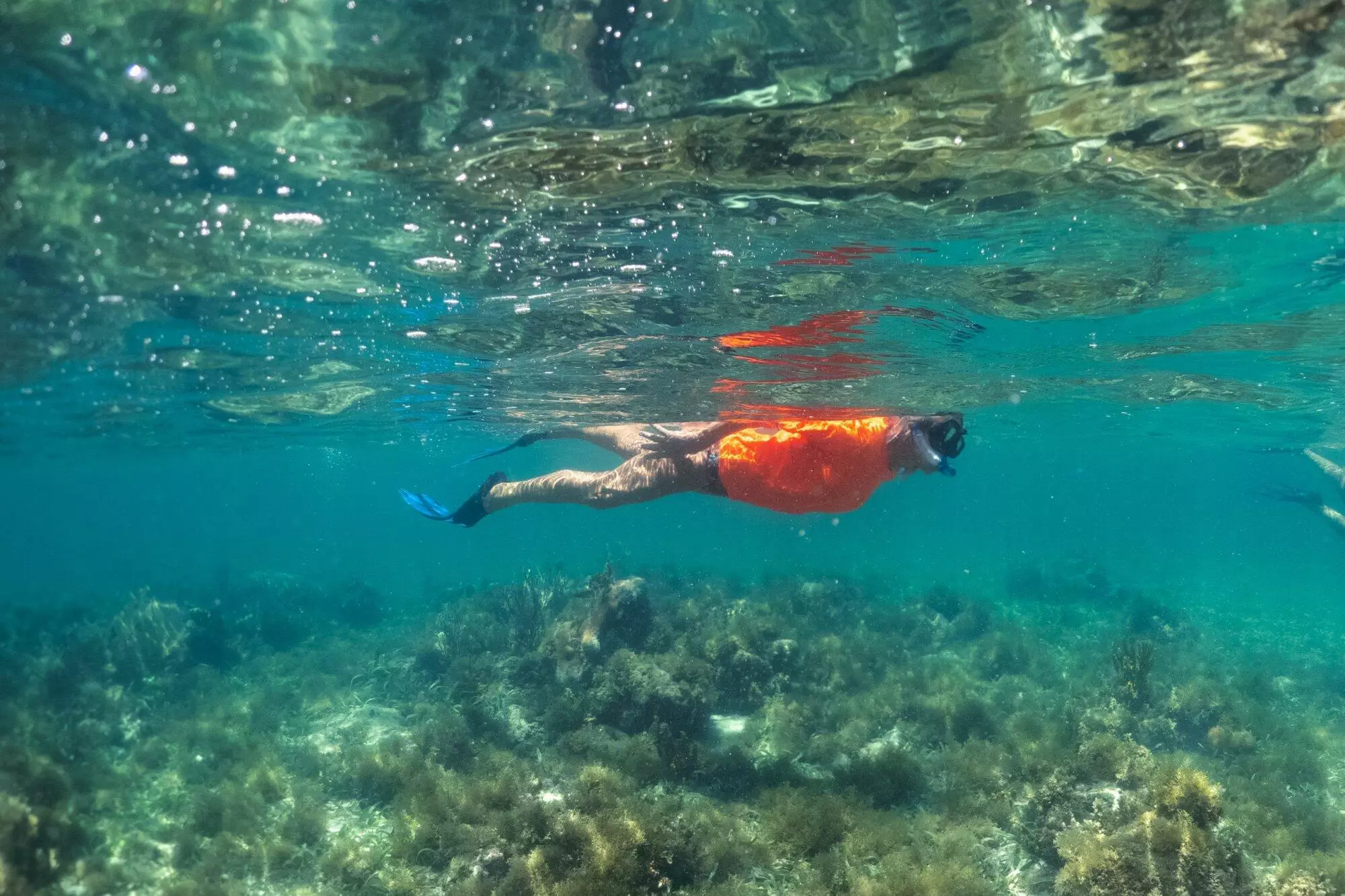 Le snorkeling en Martinique, dans les îlets du Robert