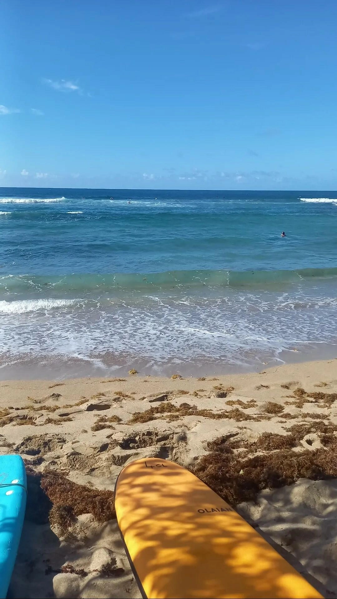 Planches de surf sur une plage en Martinique