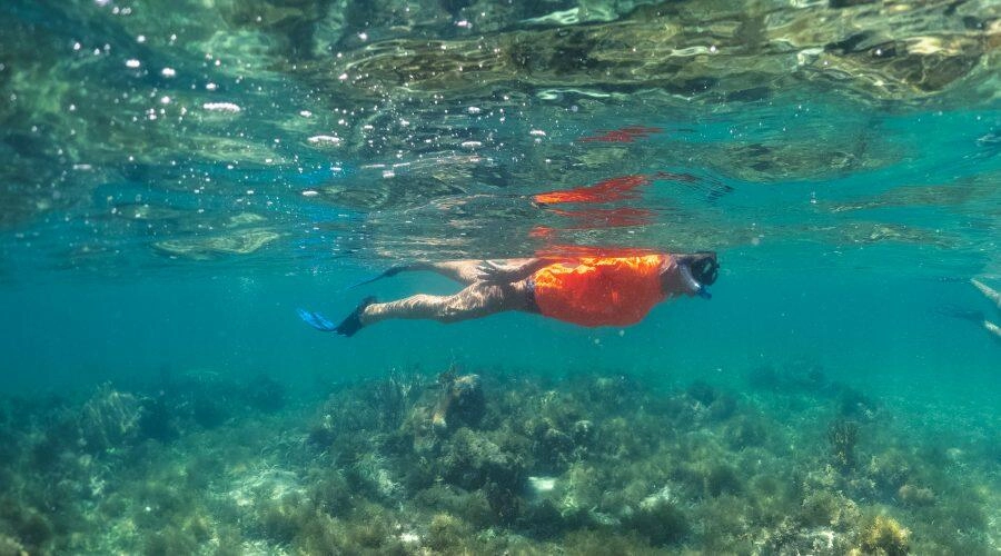 Randonnée palmée en Martinique