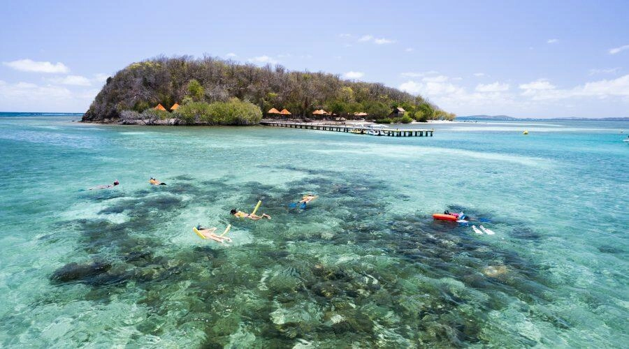 Randonnée palmée en Martinique avec Dénébola