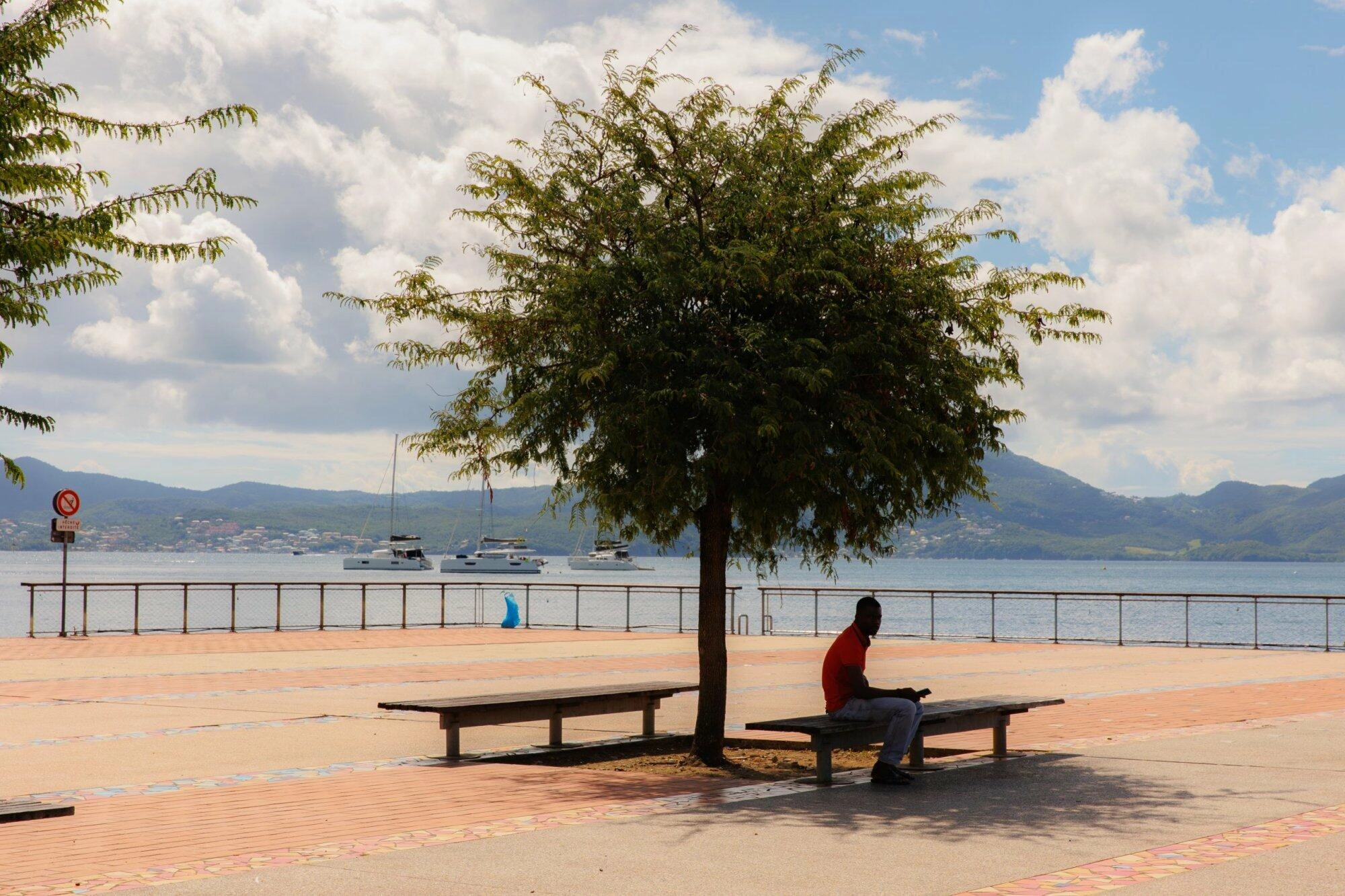 Bancs ombragés et vue sur la baie en Martinique